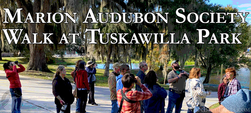 51_Marion_Audubon_Tuskawilla_Walk_banner