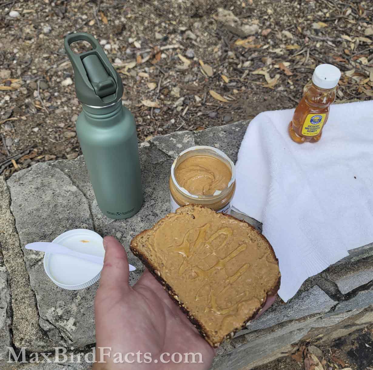 Lunch before our first search for the Elegant Trogon. (Santa Cruz, AZ, 2025)
Birding Southeastern Arizona Monsoon Season – 8 Days, 188 Birds